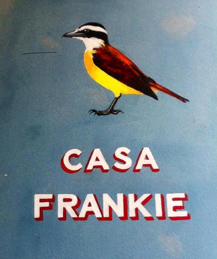 ホテル Casa Frankie サンルイス エクステリア 写真